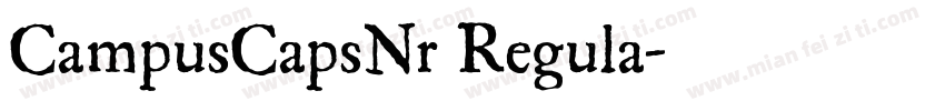 CampusCapsNr Regula字体转换
